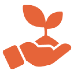 Hand holding a sprout icon
