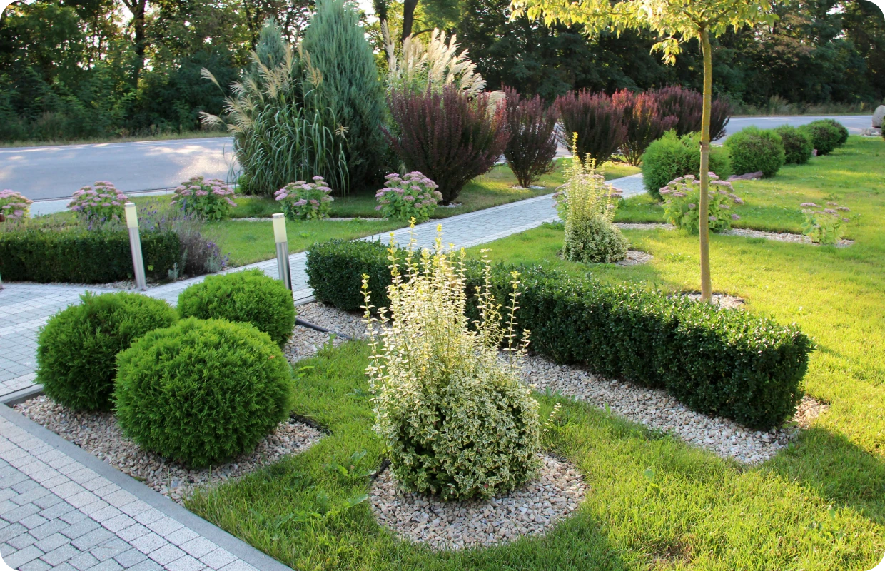 Beautifully landscaped garden with trimmed bushes.