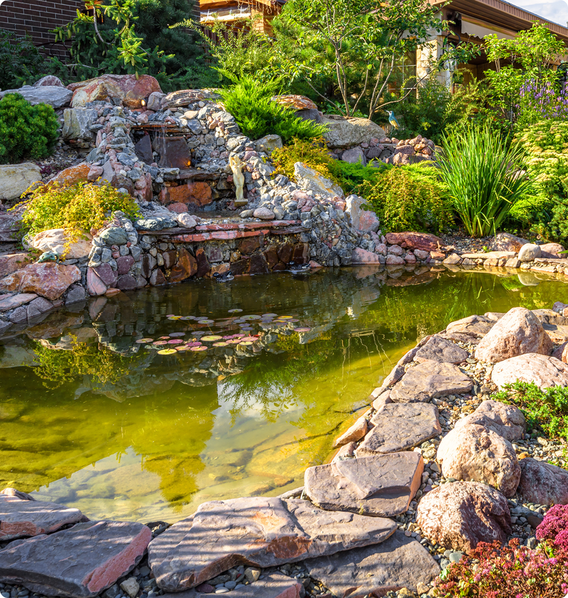 Tranquil pond surrounded by stones and plants