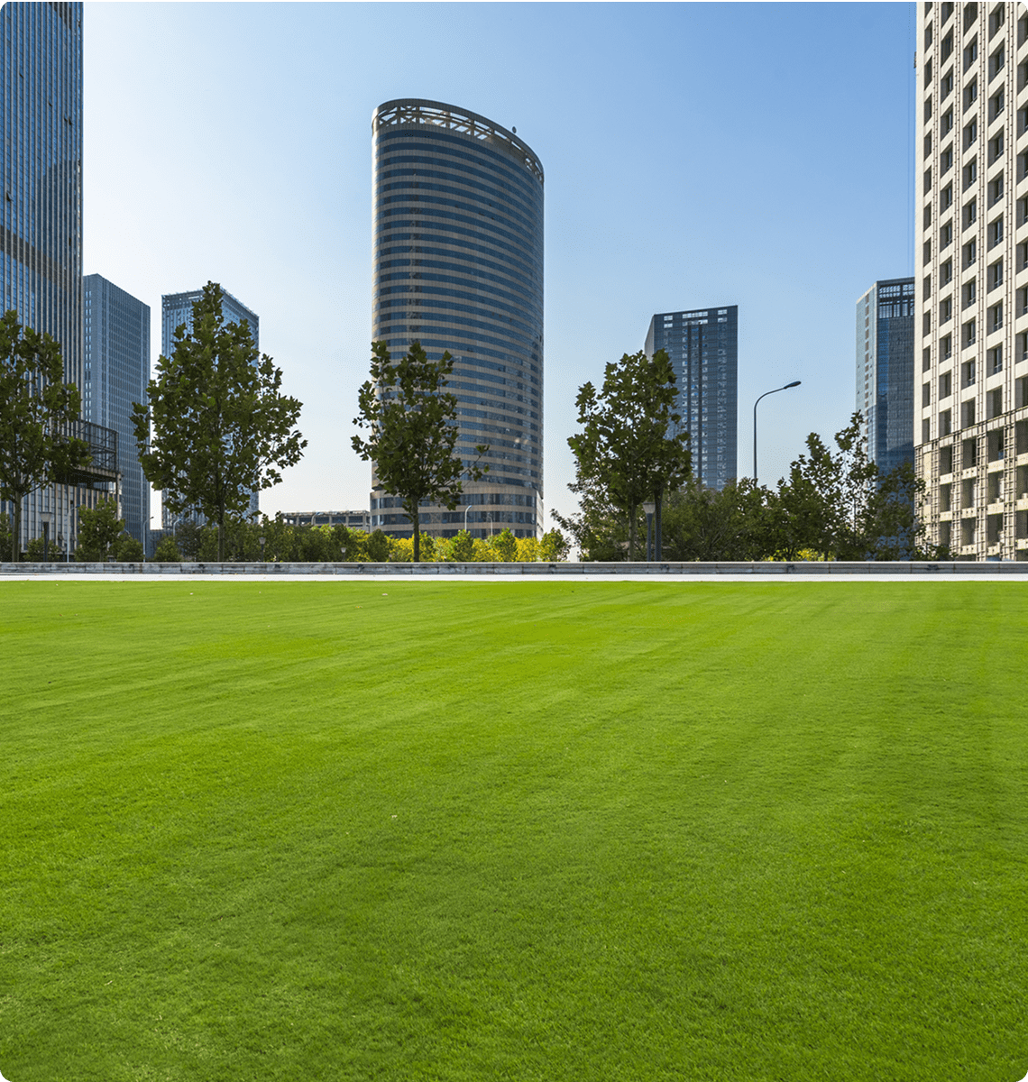 City skyline with green lawn