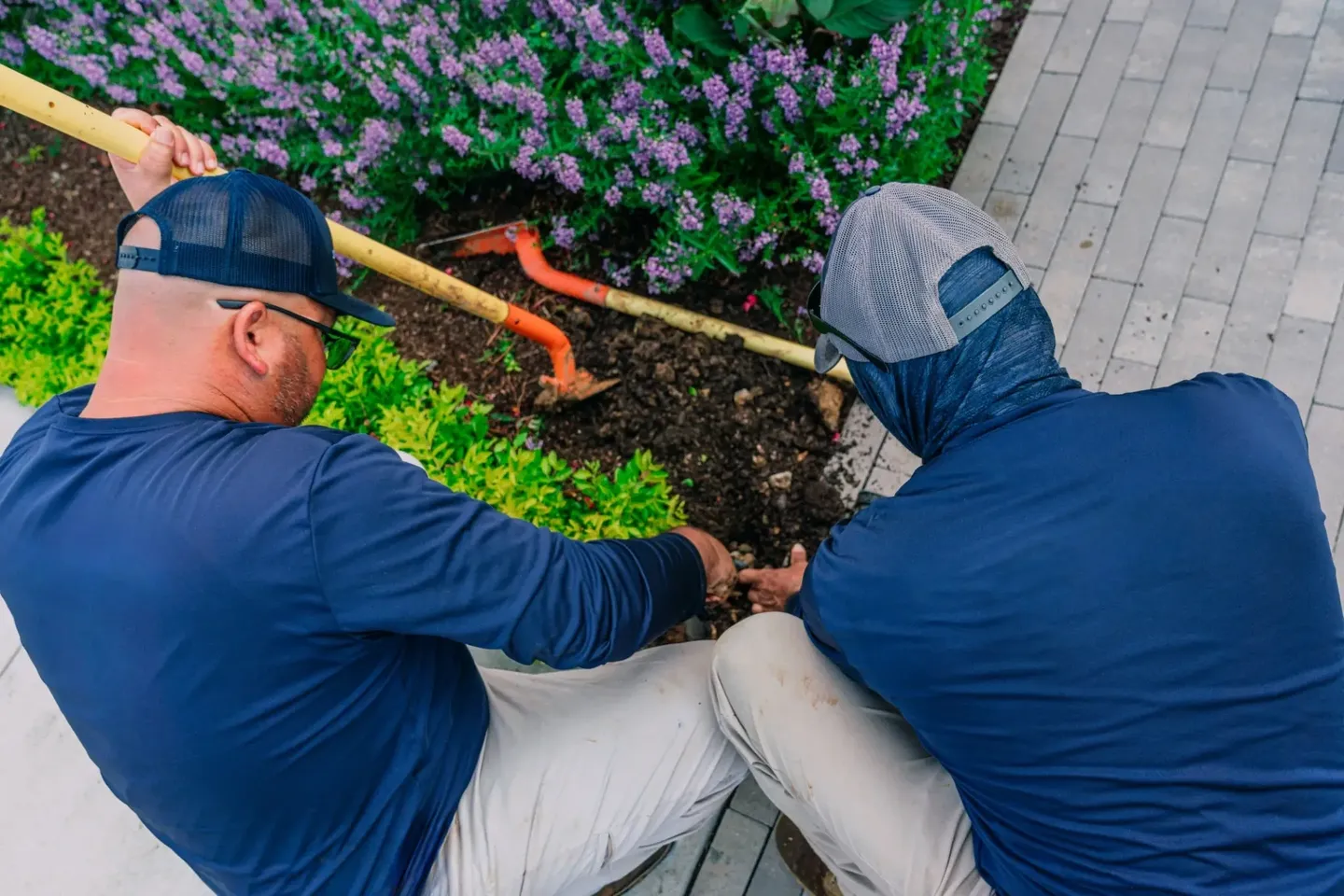 Two men working together to plant a sapling in a garden.