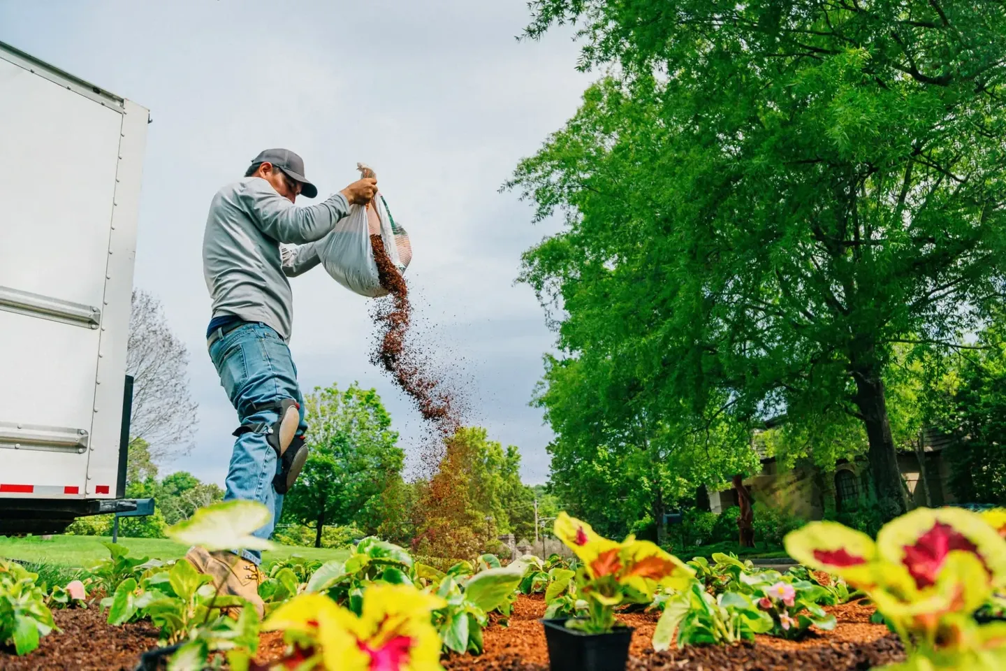 A gardener spreads soil over flower beds in a green garden.